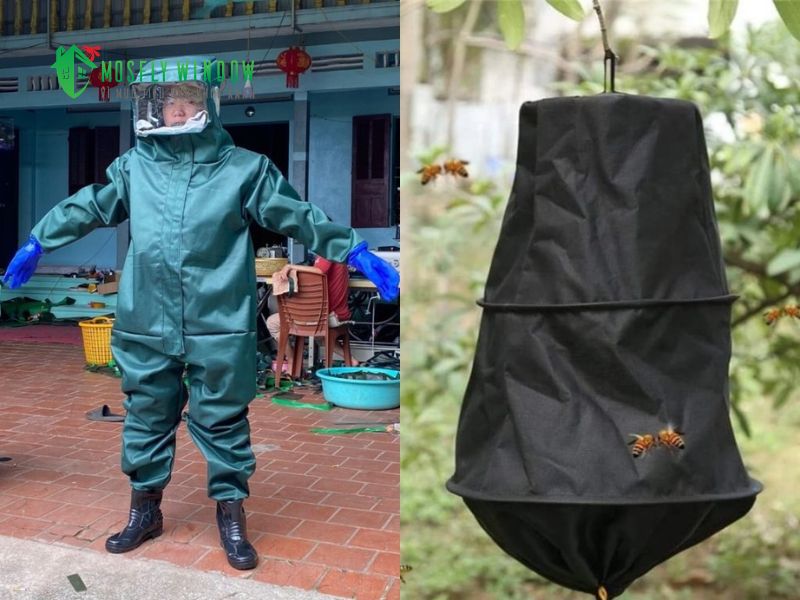 Lưu ý an toàn tối quan trọng khi xử lý ong vò vẽ