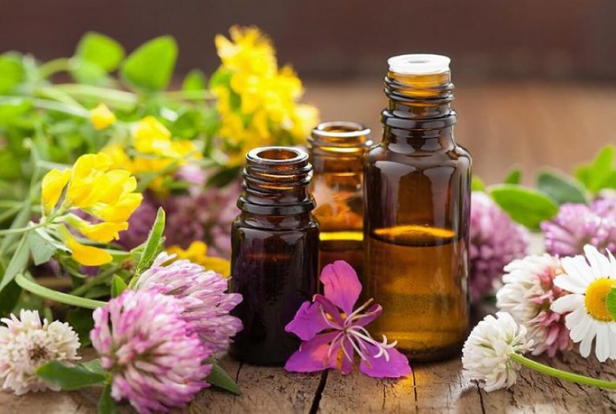 Tinh dầu bạc hà, sả chanh và cam quýt giúp xua đuổi kiến cánh hiệu quả.