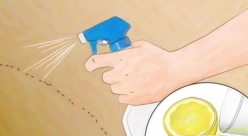 Các phương pháp xử lý tức thời không dùng hóa chất