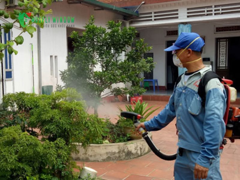 Giải pháp hóa học: Khi nào nên cân nhắc và lưu ý quan trọng