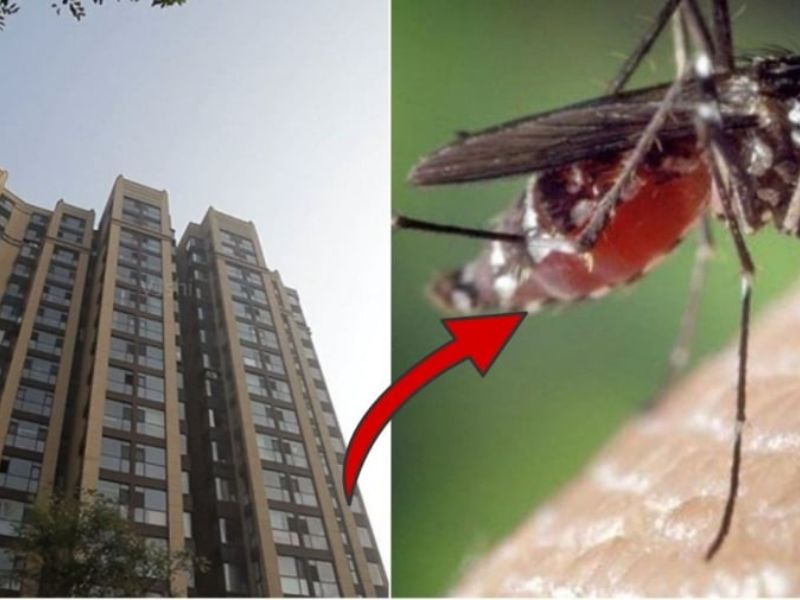 Giải mã các con đường muỗi xâm nhập nhà cao tầng không ngờ tới