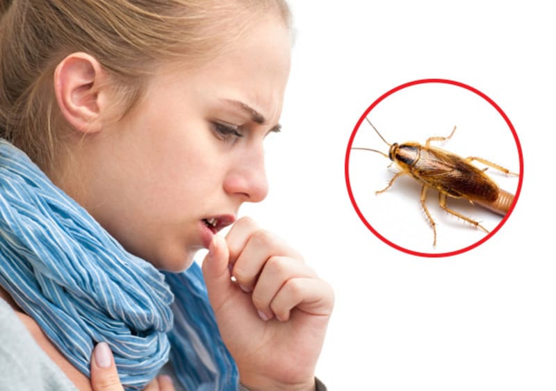 Gây bệnh đường tiêu hóa và các vấn đề dị ứng, hen suyễn