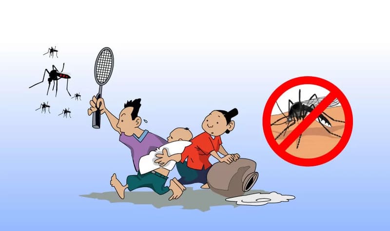 Các biện pháp hiệu quả để xua đuổi và diệt muỗi