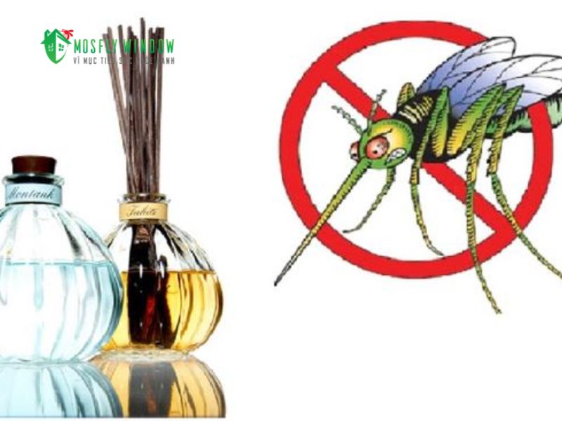 Giải pháp diệt côn trùng an toàn và hiệu quả bạn cần biết