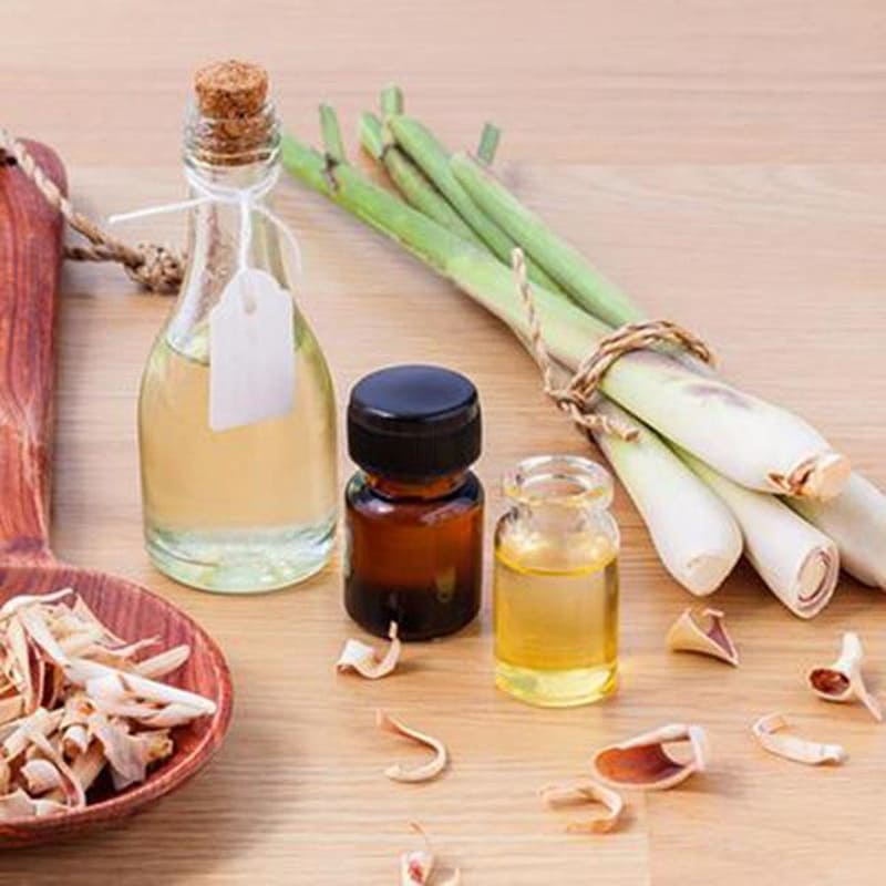 Các biện pháp tự nhiên: Muỗi sợ mùi gì nhất?