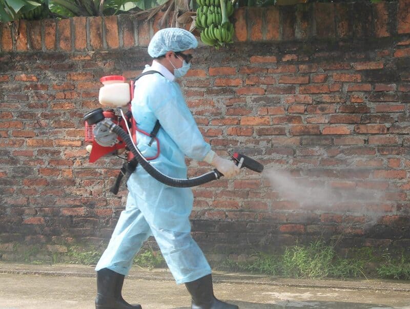Khi nào nên cân nhắc dịch vụ phun thuốc muỗi chuyên nghiệp?
