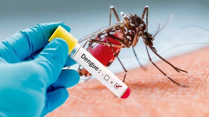Ngăn chặn dịch bệnh bùng phát trên diện rộng