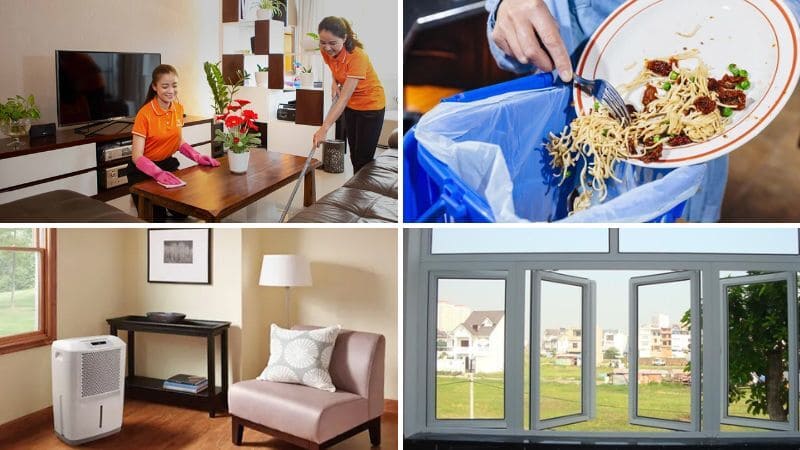 Nền tảng của giải pháp lâu dài: Các biện pháp phòng ngừa chủ động